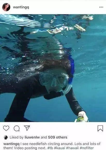 曲婉婷|曲婉婷赢了，556个东北家庭哭了