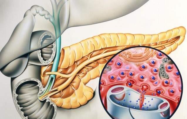 #胰腺#若身体总出现三个异常,最好去做一下检查,以免拖成重大胰腺疾病