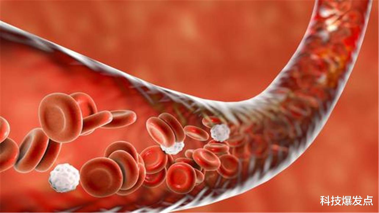 科学家|人的一生究竟能活多久?我们无力改变,在出生前就已经注定了!