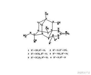 河鲀▲比黄金贵280倍，河鲀毒素为什么会成为世界上最昂贵的毒药？