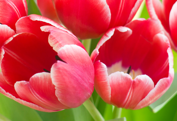 运势|7月下旬，4属相运势转旺，身边贵人如云，事业迎来转机，日子风光