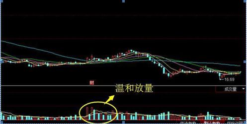 蜘蛛|一旦出现“死蜘蛛”意味着什么?散户要小心,这是收割韭菜的节奏