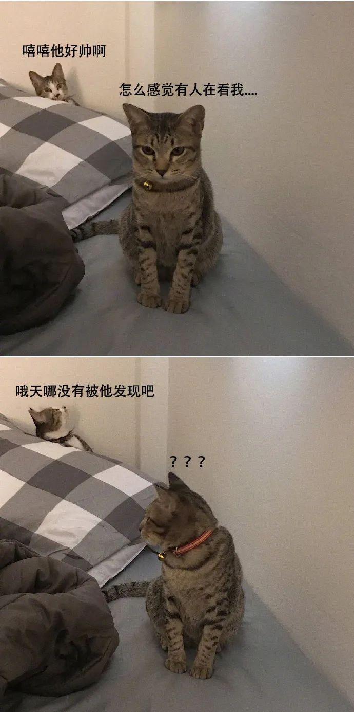 长江|找偷包子的人愣是找成了连续剧
