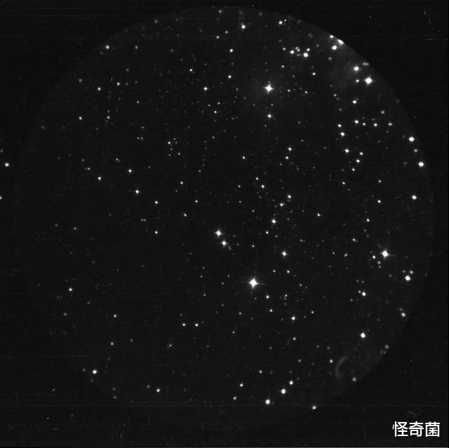 #登月#为何地球上能看到星空,登月照片中却看不到?看科学家怎么说