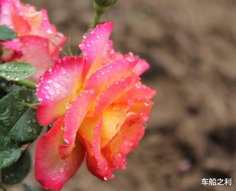 【生肖】7月8 号，不再穷，此3属相，贵人帮，财运守得云开见月明