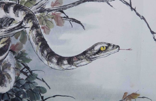 #属蛇#蛇：出门撞大囍啦！就在明后两天！“囍囍囍”在等着你！