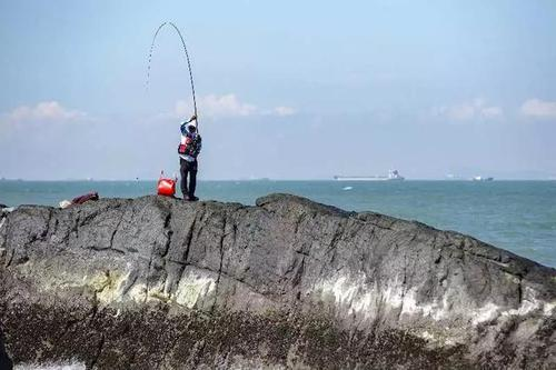 海钓|海钓中浮游矶钓、筏钓、路亚、船钓，哪一种钓法最实在省钱了？