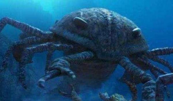 蛟龙号■海底一万米的世界，鱼已不再是鱼，蛟龙号拍到的景象让人毛骨悚然