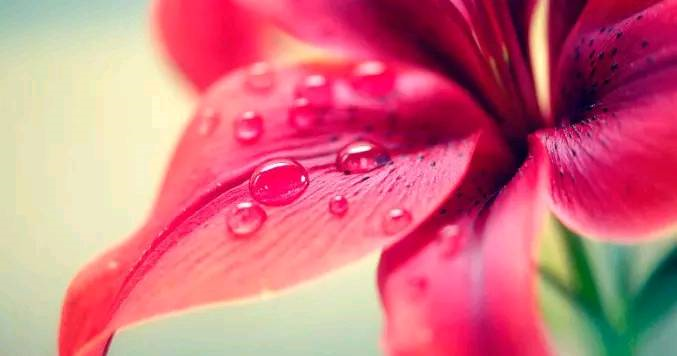 【】从来不心疼妻子的3个生肖男，不为妻子着想，只考虑自己