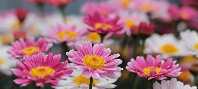 旧爱|10月将临，倾心相诉，桃运飙升，真爱重回，重拾爱情，再续前缘