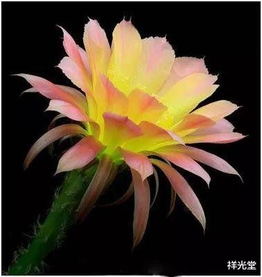 大姨妈|“大姨妈”出现3个信号，可能是快绝经了，别当成妇科疾病