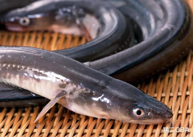 鳗鱼饭|在日本，一流的鳗鱼饭是什么样的？