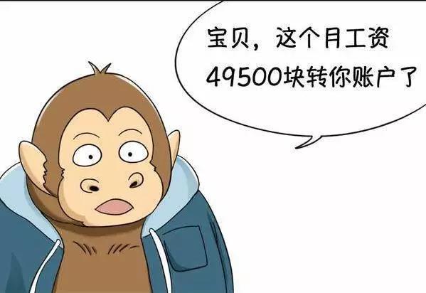 「程序员」程序员工资那么高，却从不炫富？网友回复让人“笑喷了”