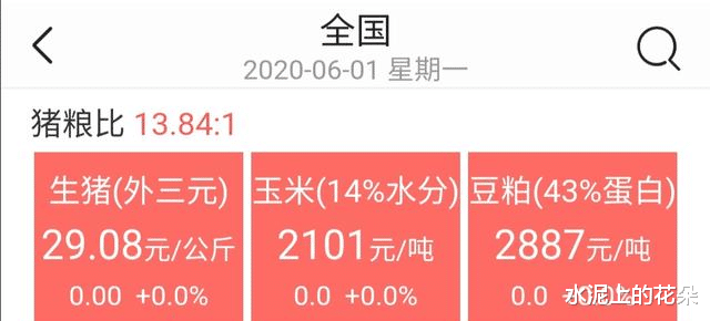 #生猪价格#6月1日猪市，多重利空下为啥逆势上涨？为何养猪人却高兴不起来？