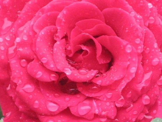 运势|10月1号开始，4属相万事顺意，运势上涨，幸福进门，大吉大利