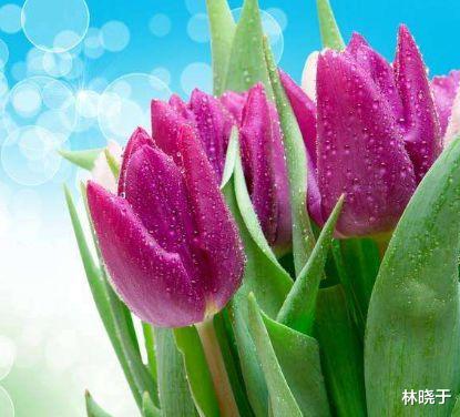 金牛座|算命的说，10月吉星高照，横财不断，顺风顺水，心情大好的生肖