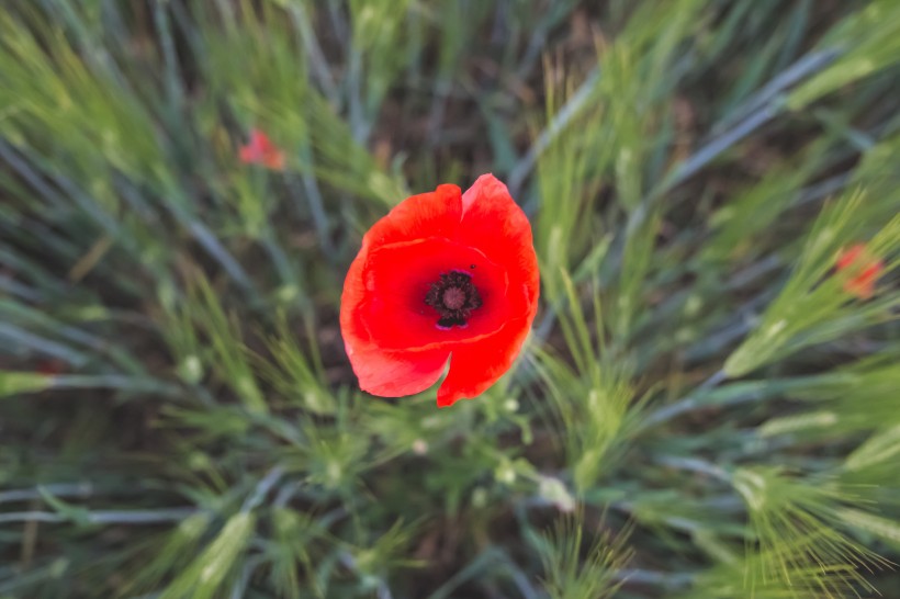 生肖|7月下旬喜迎人生转折点，正财旺横财发，富贵翻几番的四属相