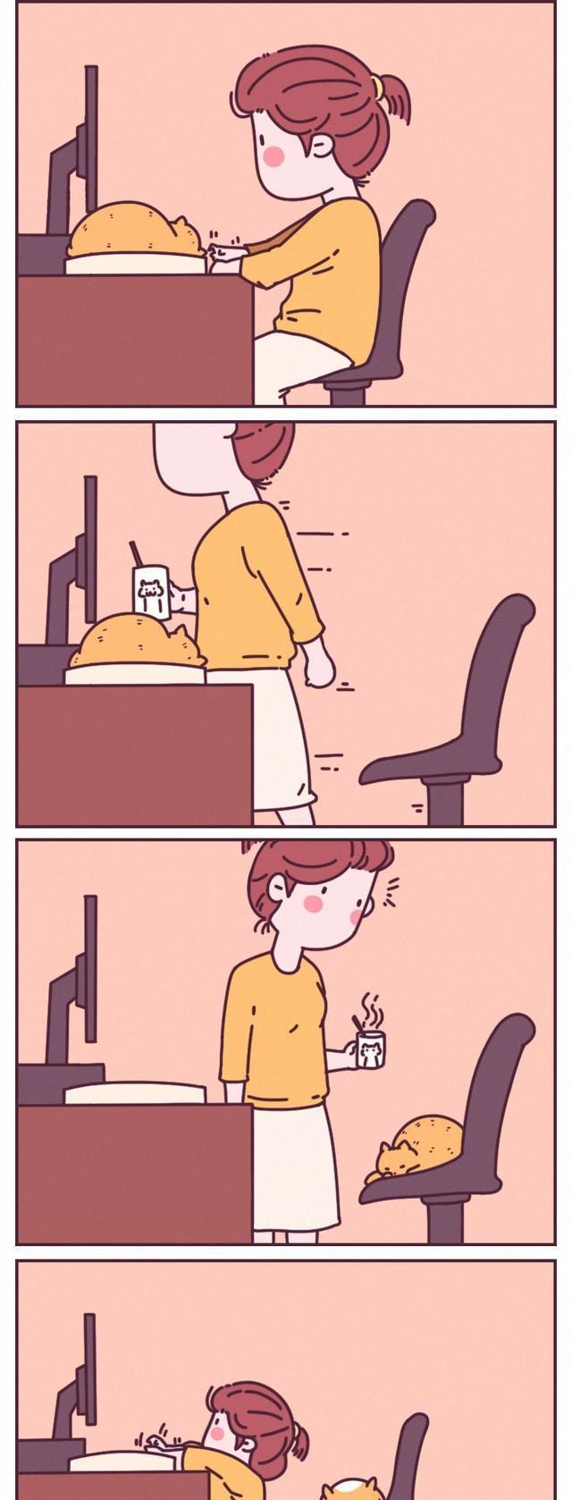 和猫一起上班是种什么体验？看完简直要笑尿了！