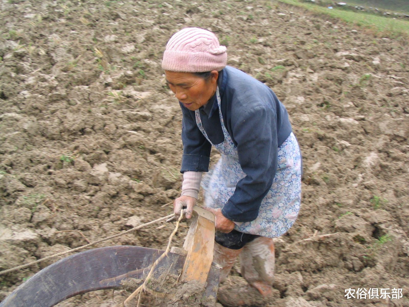【养老保险】农村养老保险一年一百，政府补贴30，60岁后农民每月养老金是多少
