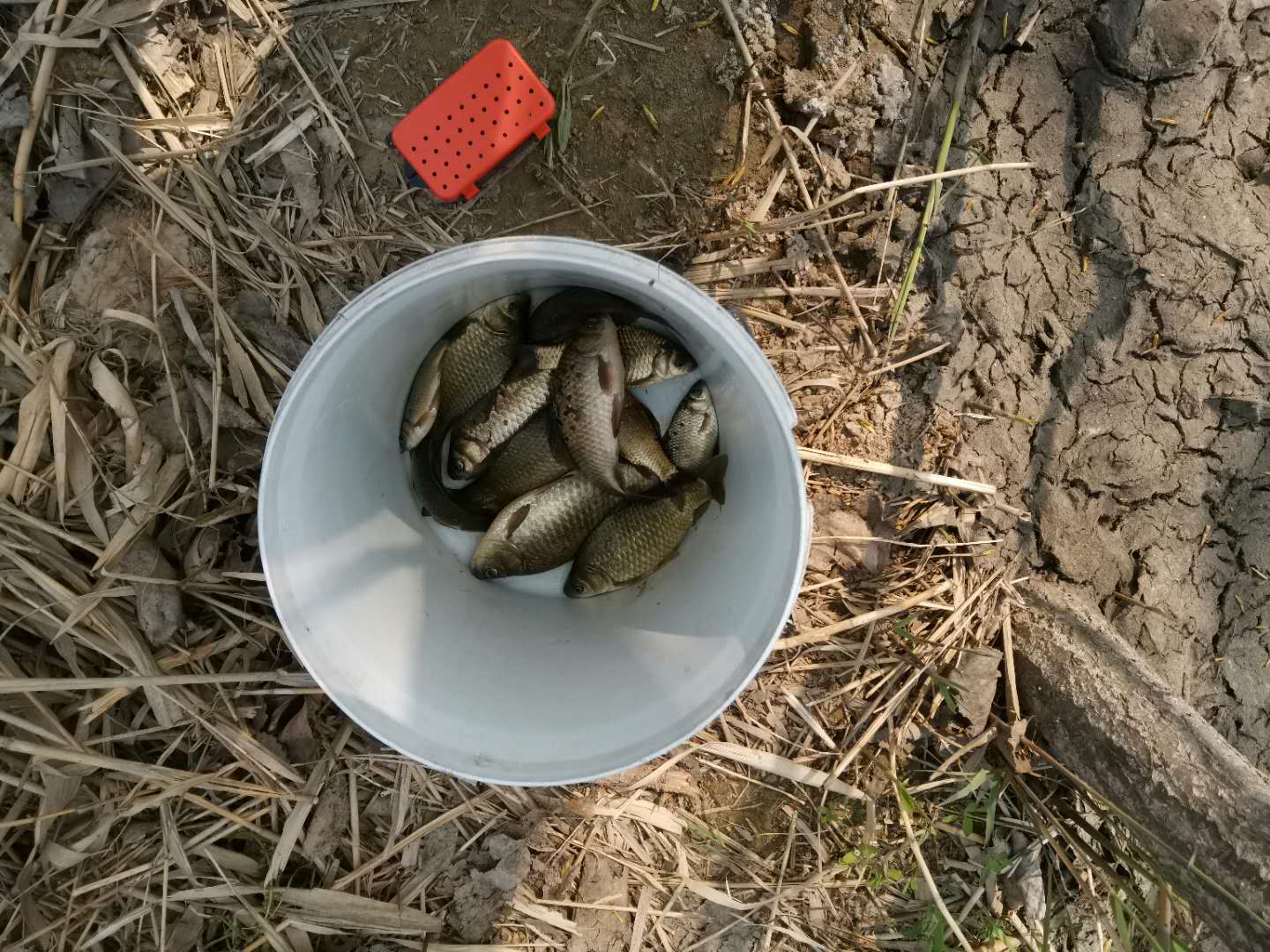 深水区@春夏秋冬钓鱼，抓主要矛盾，如同行船不偏离主航道，细节可微调！