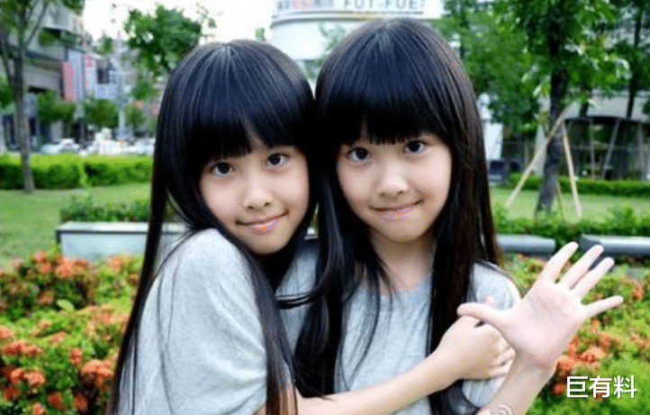 #娱乐圈#姐姐是靠智商吃饭,而妹妹却踏入娱乐圈,双胞胎姐妹花今差距明显