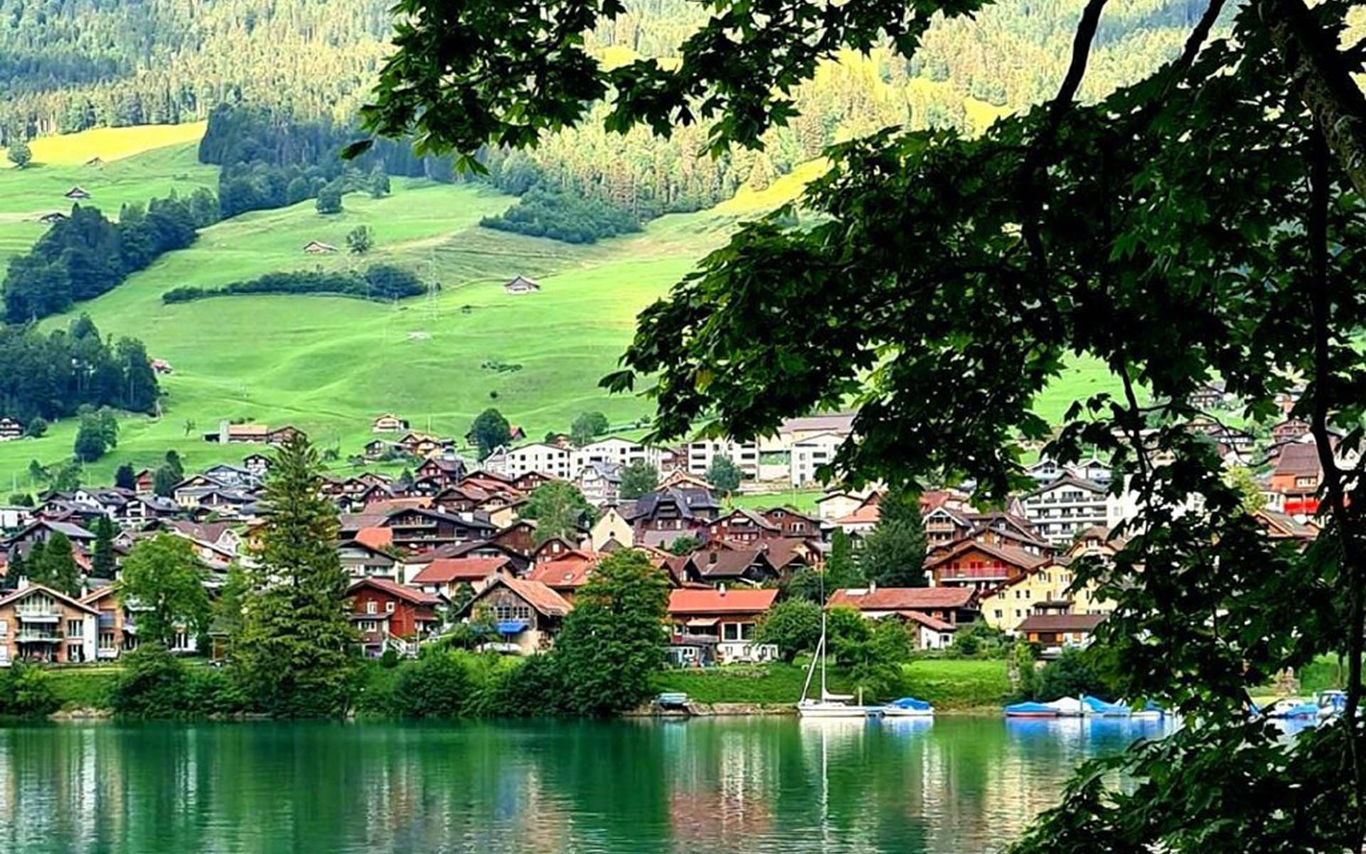 狮子座|8天后，爱到无力，失魂落魄，挥手告别，再无相见，余生再无交集