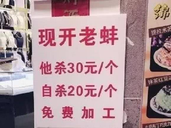 |世界上最神秘的三种生物
