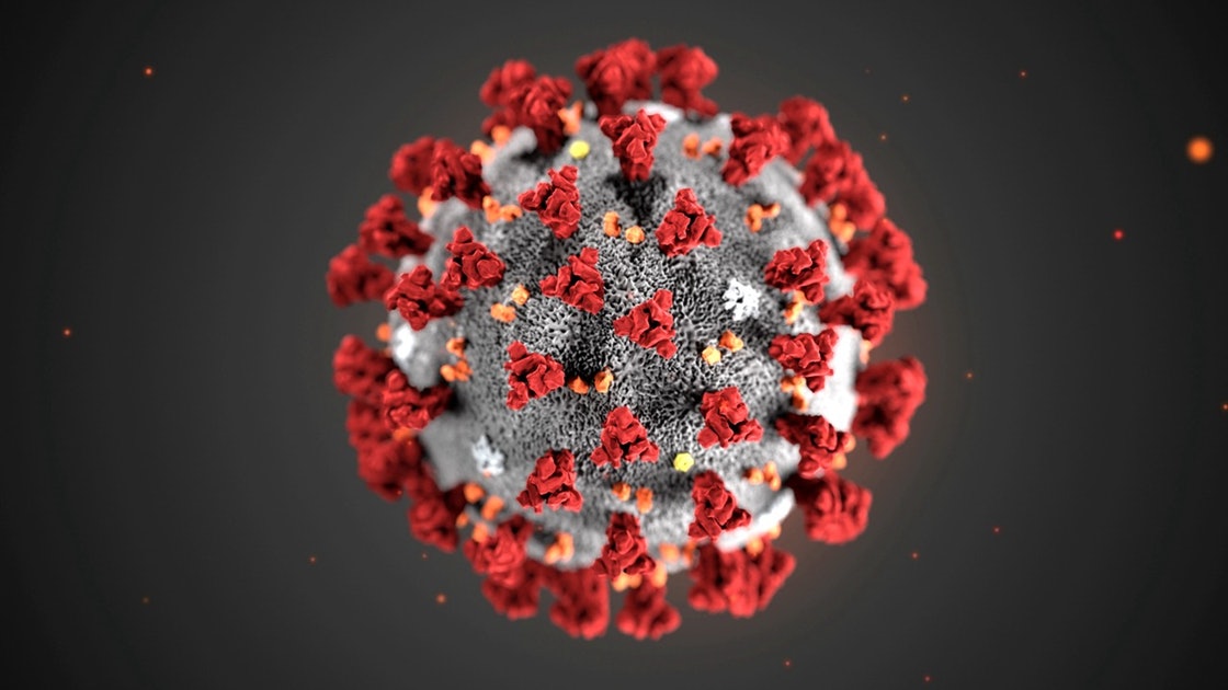 #美国#美国军方秘密生物实验室事件突然升级 格鲁吉亚召见中国大使