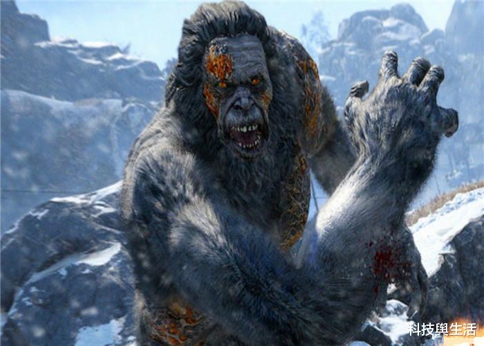 黑猩猩@地球又一新物种被发现，跳出“三界之外”，疑似黑猩猩的近亲！