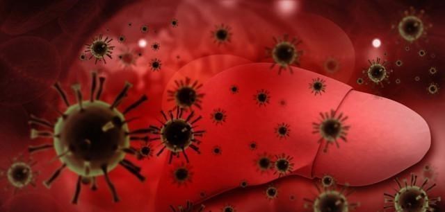 肝癌■每年肝功能检查都正常，却突然发现是肝癌晚期，医生告诉你真相