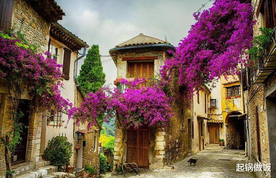 旧爱|八月底有福了，真爱降临，3星座喜迎心上人