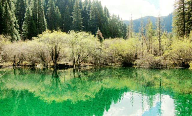 [九寨沟]我国最低调的景区，景色秒杀九寨沟，简直就是世外桃源