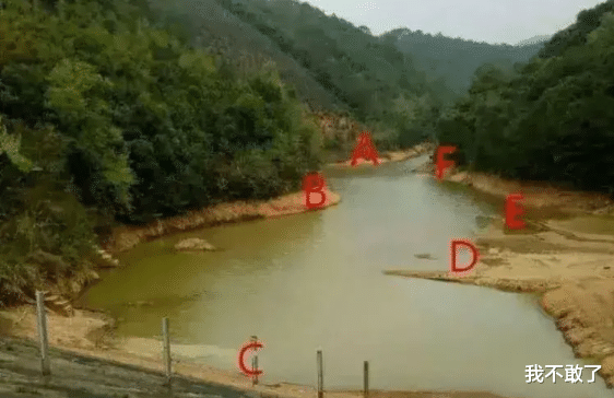 饵料|“哪个位置钓鱼最好？有懂行的来说一说吗？”晒不到最好哈哈哈