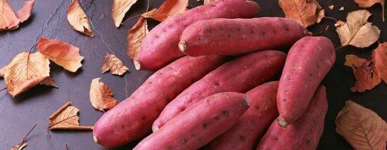 红薯|家庭自制红薯干，做法简单，颜色鲜嫩又透亮，看着就有食欲