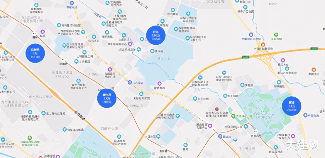 大建树 建树杂谈：郫县发展的道与术