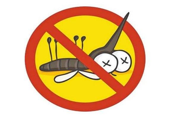 登革热■蚊子会传播多种病毒，如果消灭所有的蚊子，世界会变成什么样子？