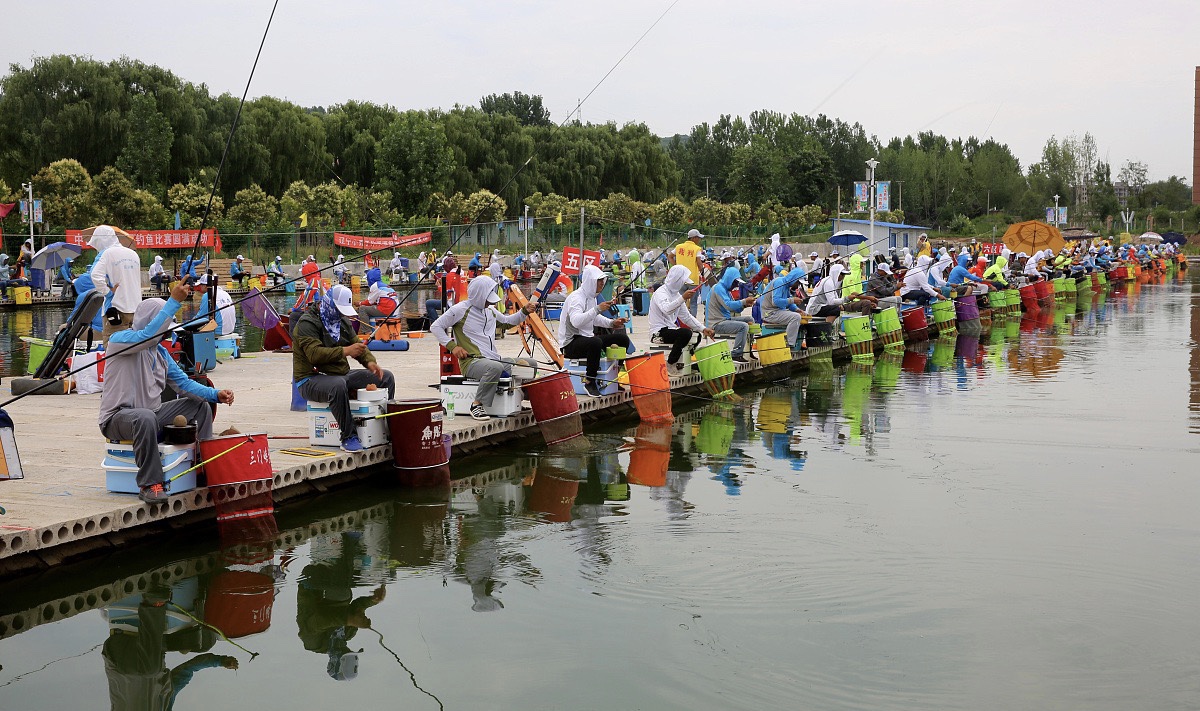 鲤鱼|钓鱼的几个误区、你踩雷了吗？