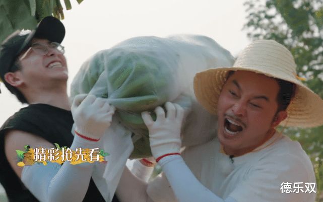 【郭麒麟】同样是摘香蕉，沙溢一扛一麻袋，再看郭麒麟，才知啥叫富家子弟！