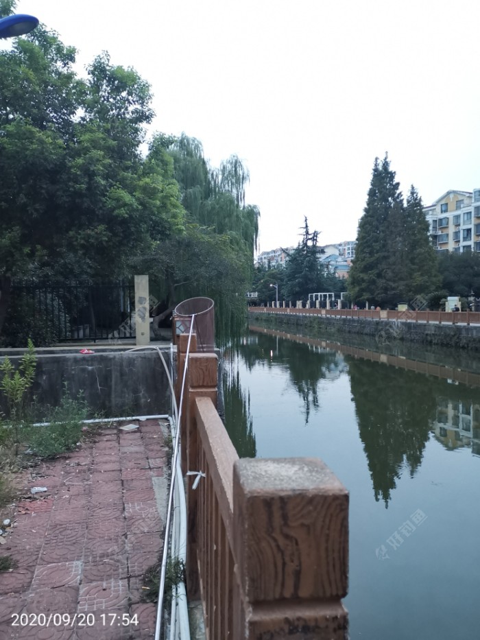 鲫鱼|夜钓鱼口很刁猾 耐心变换小爆护