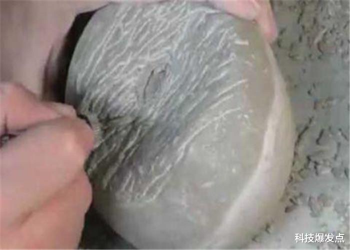 化石■新西兰海滩的圆石头,男子在打磨8小时后,在里面有新发现!