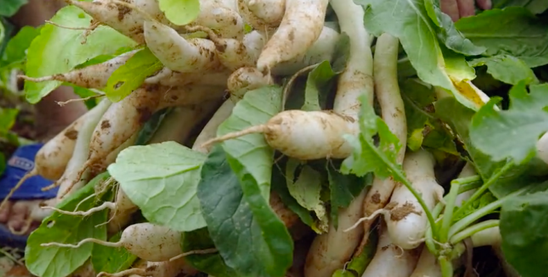 东莞▲《舌尖上的中国》团队又出顶级新片,一集就馋哭我!