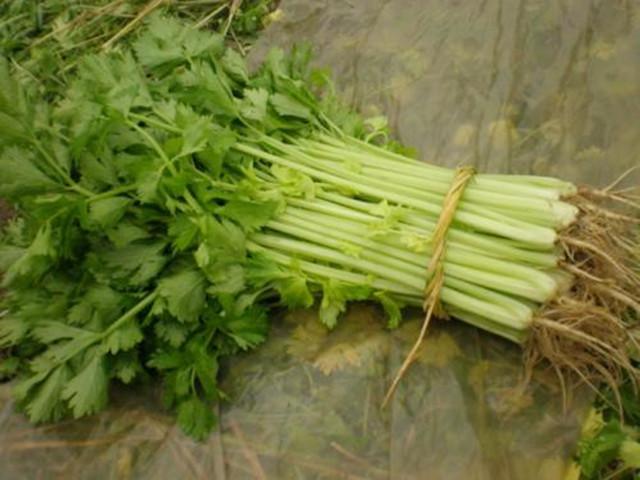 牛肉|炒牛肉时,你只知道用淀粉腌制?大厨:牢记3点,牛肉又嫩又滑