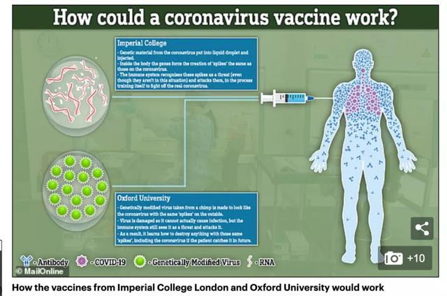 #厦门#最新研究:人体可能无法产生新冠抗体,疫苗功效最多持续6个月
