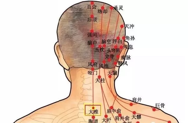 「经络」颈肩问题，久治不断根，是这里“寒气”没有化解