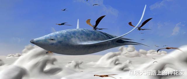 NASA|NASA：465℃的金星上发现了生命，我有点慌，必须得去看一看！