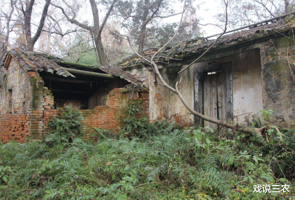 农村宅基地|宅基地强化管理，历史问题一并处理！新政出台，再违规必受严惩！