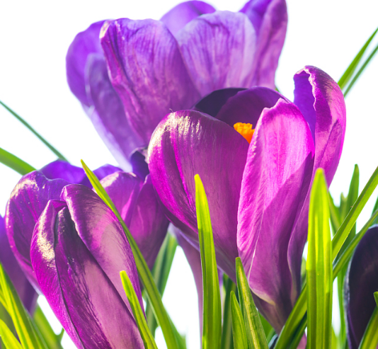 |9月5号之后，4属相福星高照，福气满满，日子越过越红火