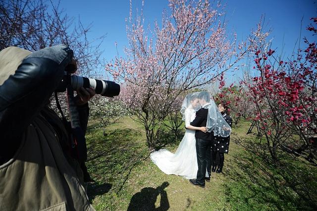 |“我买房，你装修”姑娘的话惹怒男友：离婚什么都不分我，心机女