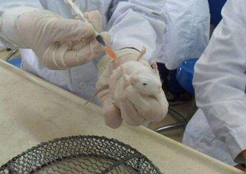 「科学家」科学家为求永生，冒险给自己打350万年前的细菌，2年后却失去笑容