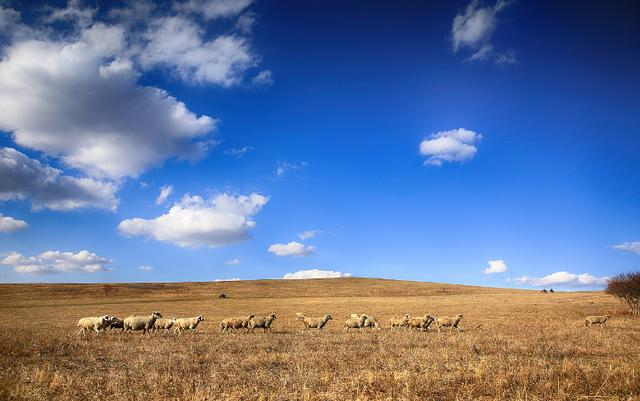 金牛座|对不喜欢的表白，拒绝得很温柔的三大星座女。不想伤人，做人善良